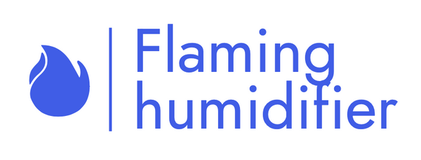 Flame humidifier